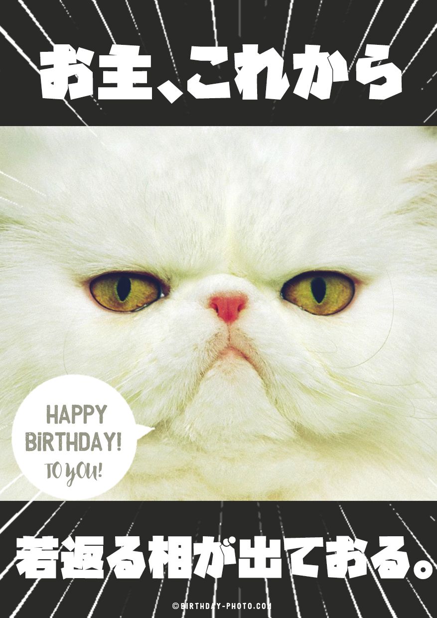 ハッピーバースデートゥーユー動物TikTok