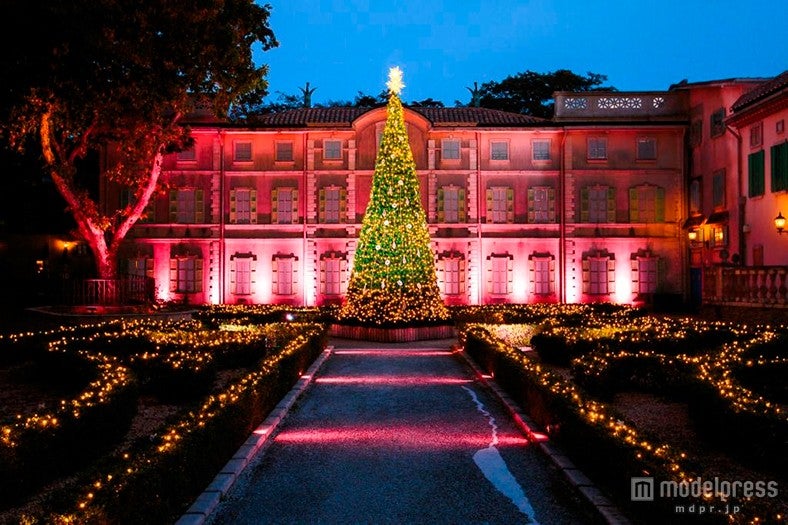 クリスタル・ガラスのクリスマスツリー https:www.hakone-garasunomori.jp garden christmas展示中：2024年1月8日まで 箱根・大涌谷の雄大な自然を背景に、合計15万粒のクリスタルガラスが昼間は太陽の光と風を浴びて色鮮やかな七色に輝きます。箱根 ガラスの森