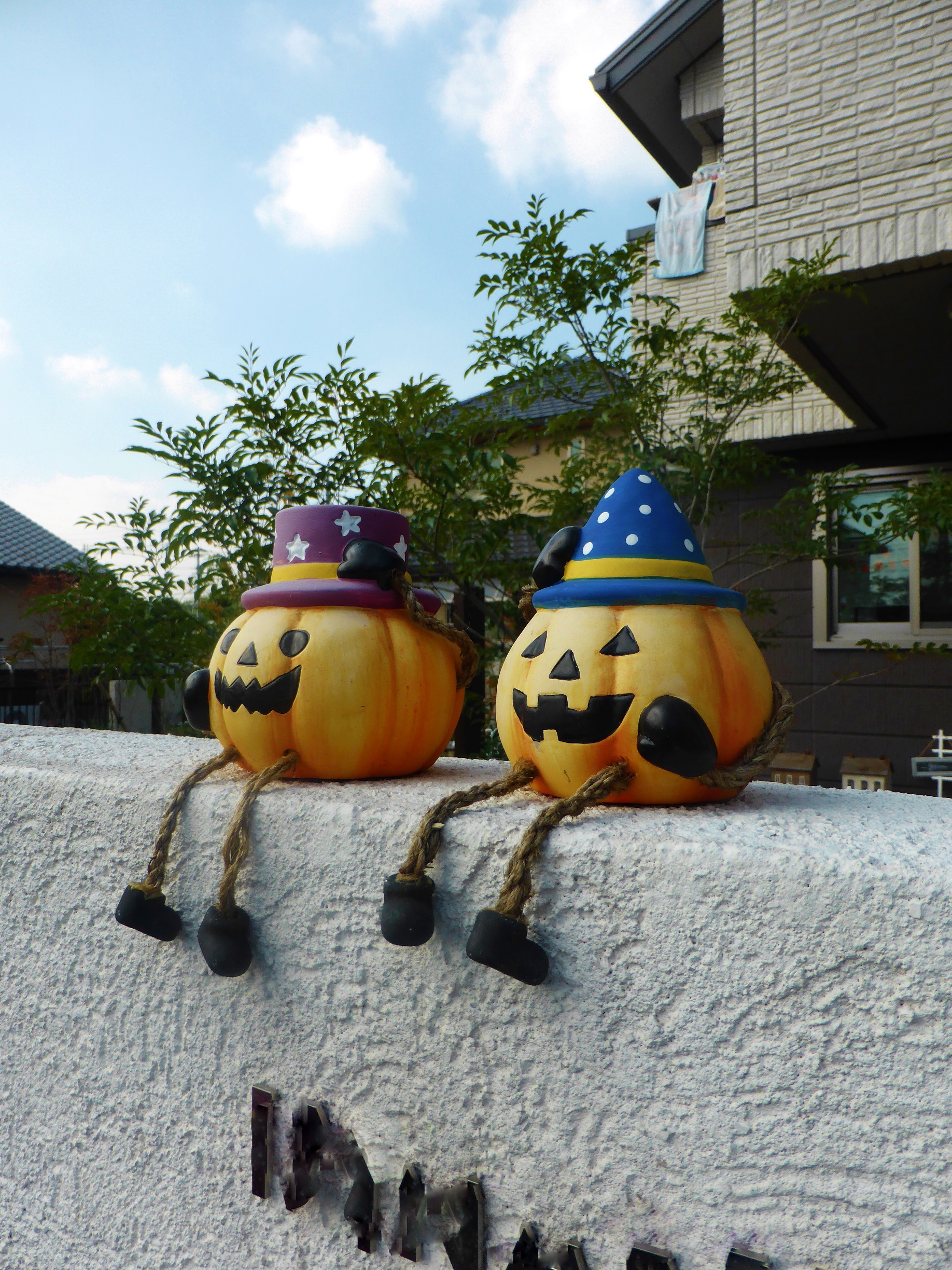 ハロウィンガーデンのインテリア実例RoomClip ルームクリップ