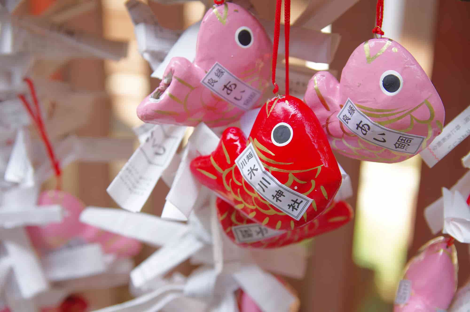 本日より一年安鯛みくじに「藤色」「黄色」が入りました。川越氷川神社鯛みくじ一年安鯛みくじ釣るおみくじomikuji埼玉川越kawagoekawagoehikawashrine