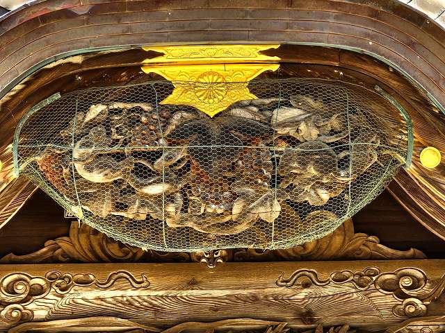 彩 首都圏の四季を訪ねて＞樹叢を通って金運祈願 酒列磯前神社 茨城県ひたちなか市 ：東京新聞デジタル