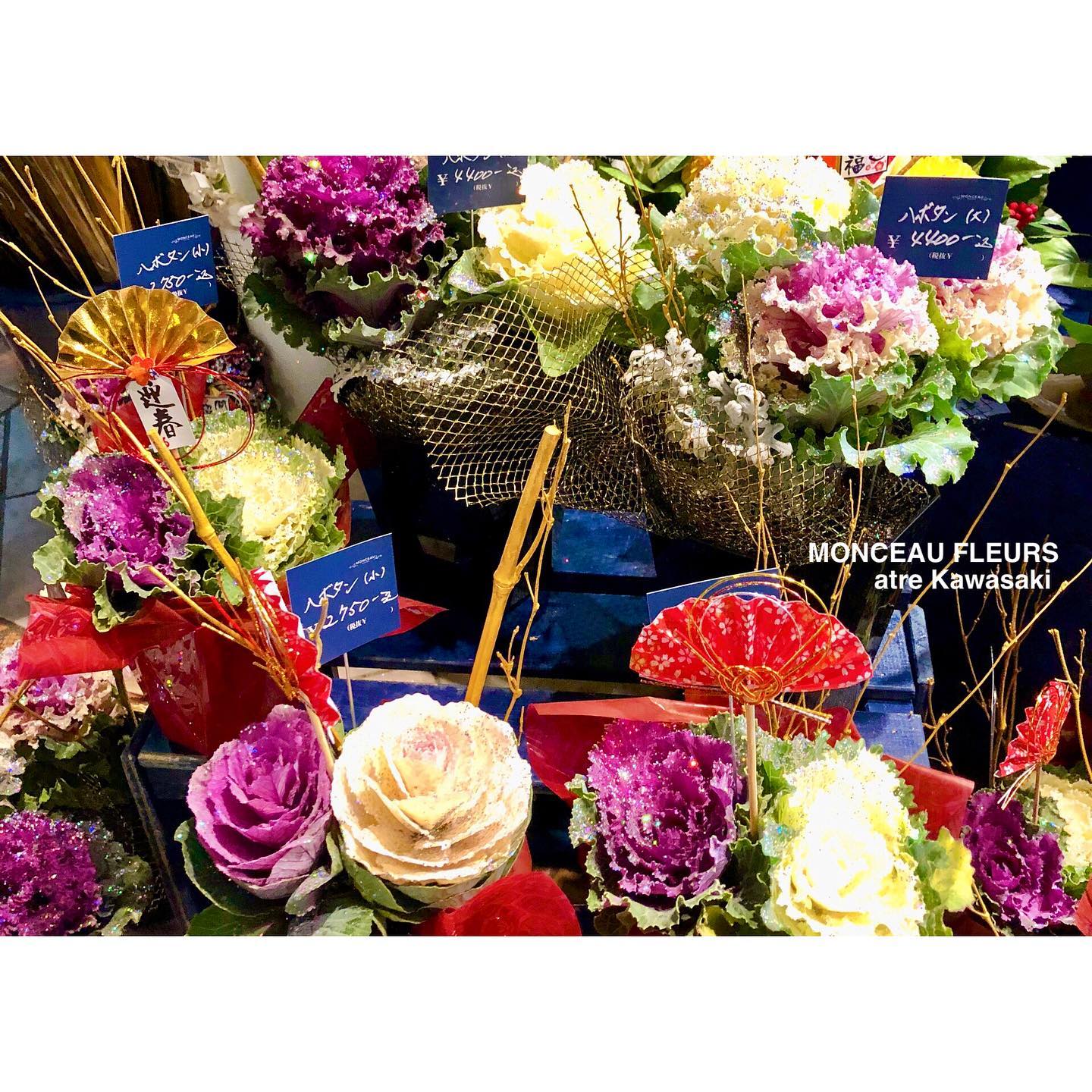 クリスマスもお正月も 葉牡丹×アリッサムの寄せ植えリースを作りました！LEE