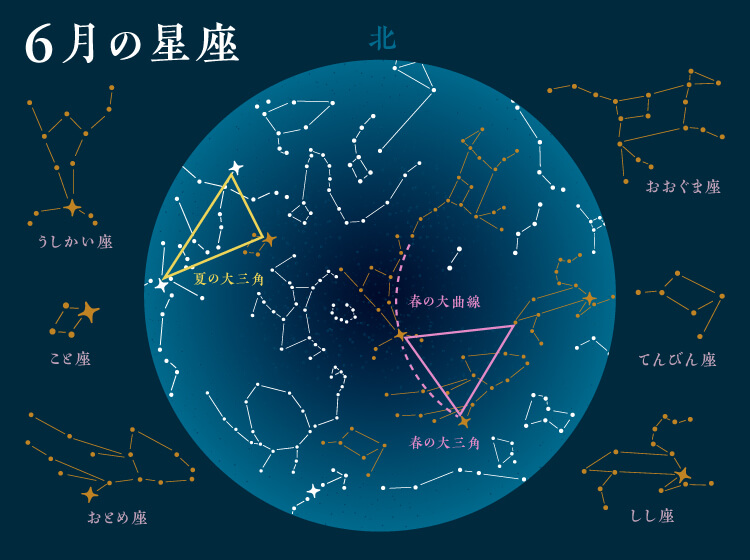 恋愛成就♡桜とストロベリームーン - LINE 着せかえLINE STORE