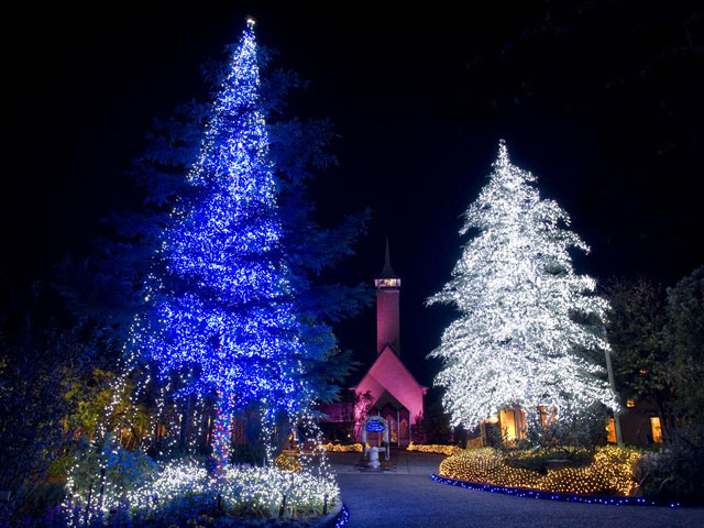 なばなの里 イルミネーション」へは電車とバスで便利にお得に 近鉄長島駅に急行を臨時停車、「なばなの里」への直通バスを運行！近畿日本鉄道株式会社三重交通株式会社 長嶋観光開発株式会社