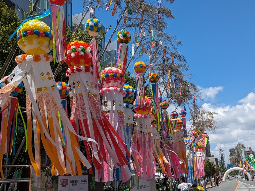 461 願いごと、日本一 わが故郷・安城七夕まつりミヤコカエデ Miyako Kaede