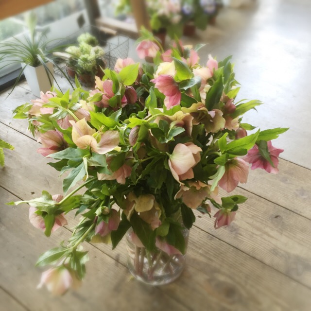 ドライフラワー 花束 ミニブーケ Yellow クリスマスローズプリザーブドフラワー専門店 Fleur・Pieces ドライフラワ