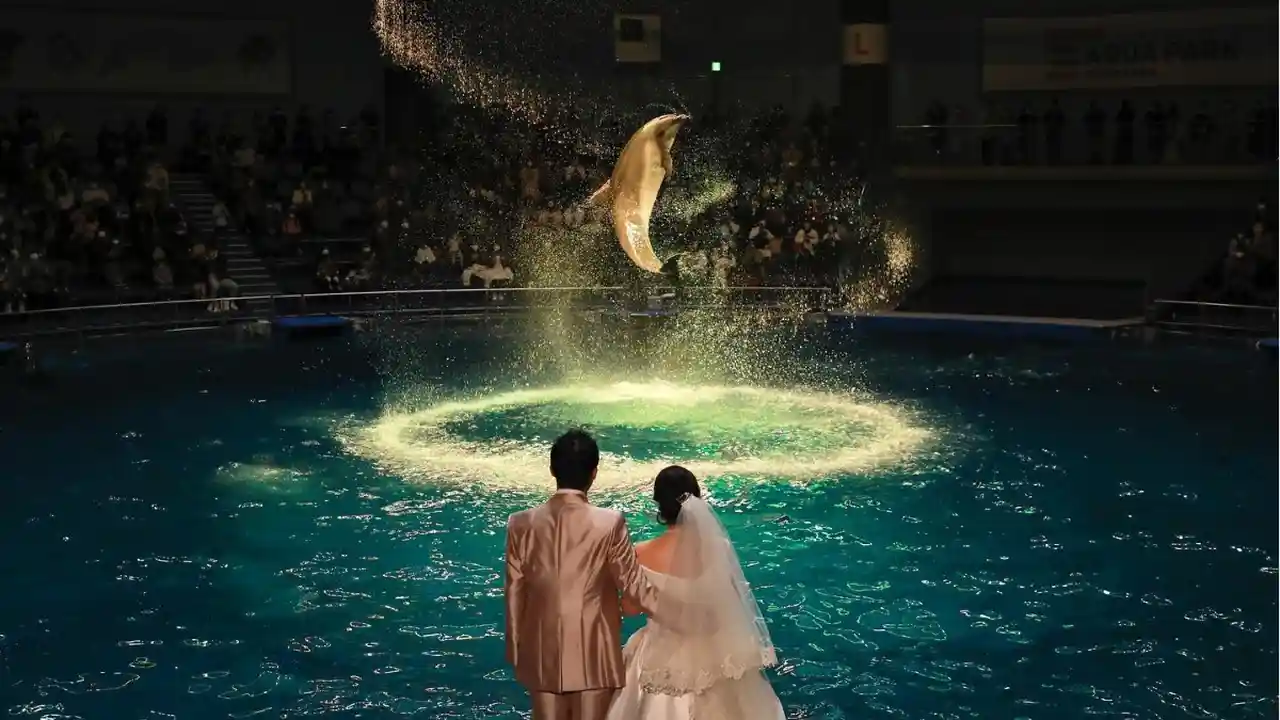 カップル2,000組が選んだ 結婚式BGMランキング ！ 入場・乾杯などシーン別でおすすめ楽曲TOP10を大発表！～定番曲から演出を盛り上げてくれる一曲まで、新旧の名曲が勢ぞろい～アニヴェルセル株式会社のプレスリリース