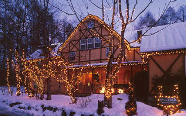 巨大なクリスマスツリーがパワーアップして登場 11 11から 。森の中、夜空にそびえる25mのメタセコイアを1,600灯の電球でツリーに！森もライトアップし幻想的な空間が神戸布引ハーブ園に誕生します神戸リゾートサービス株式会社のプレスリリース