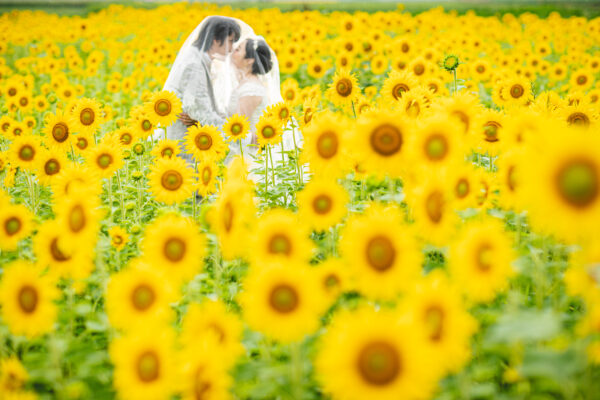 関東 2月3月見頃の花絶景5選！美しいお花畑で春を先取り＜2025＞ じゃらんニュース