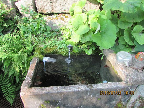 饒津神社 原爆手水鉢スポット広島ピースツーリズム