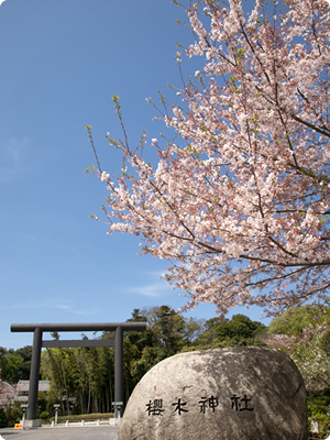 千葉県のパワスポ白子神社：縁結びと金運UPの白蛇様社これくしょん