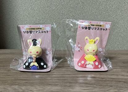 2024年 セリアのおすすめひな祭グッズ6選。くすみカラーがおしゃれ♪2ページ目- macaroni