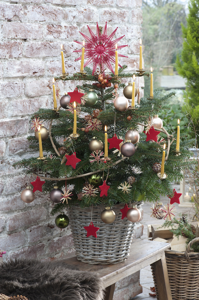 生木が主流！ドイツのクリスマスツリー