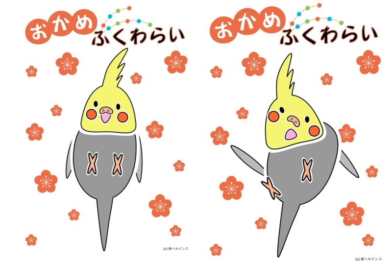 Amazon.co.jp: 日本製 民芸品 福笑い おかめ 5枚セット : おもちゃ