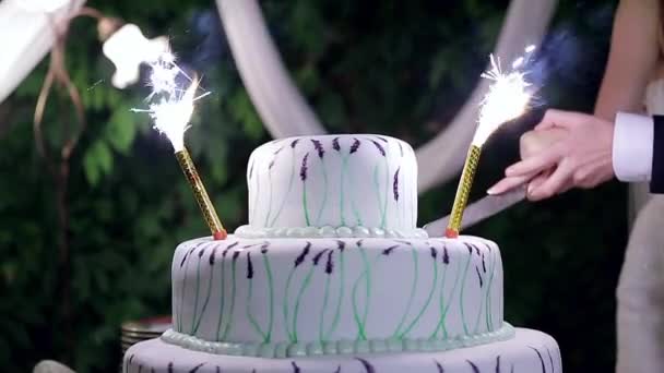 花火を使った結婚式のアイデア演出9選