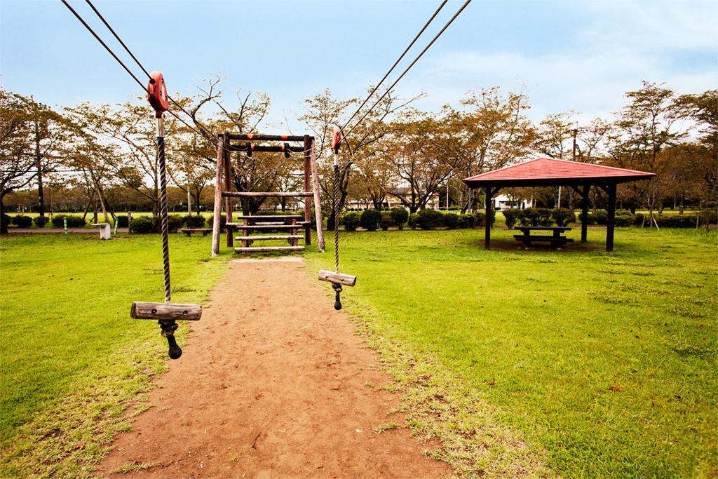 忠元公園の桜 2025 ー 今シーズン終了 ー伊佐市鹿児島県伊佐市