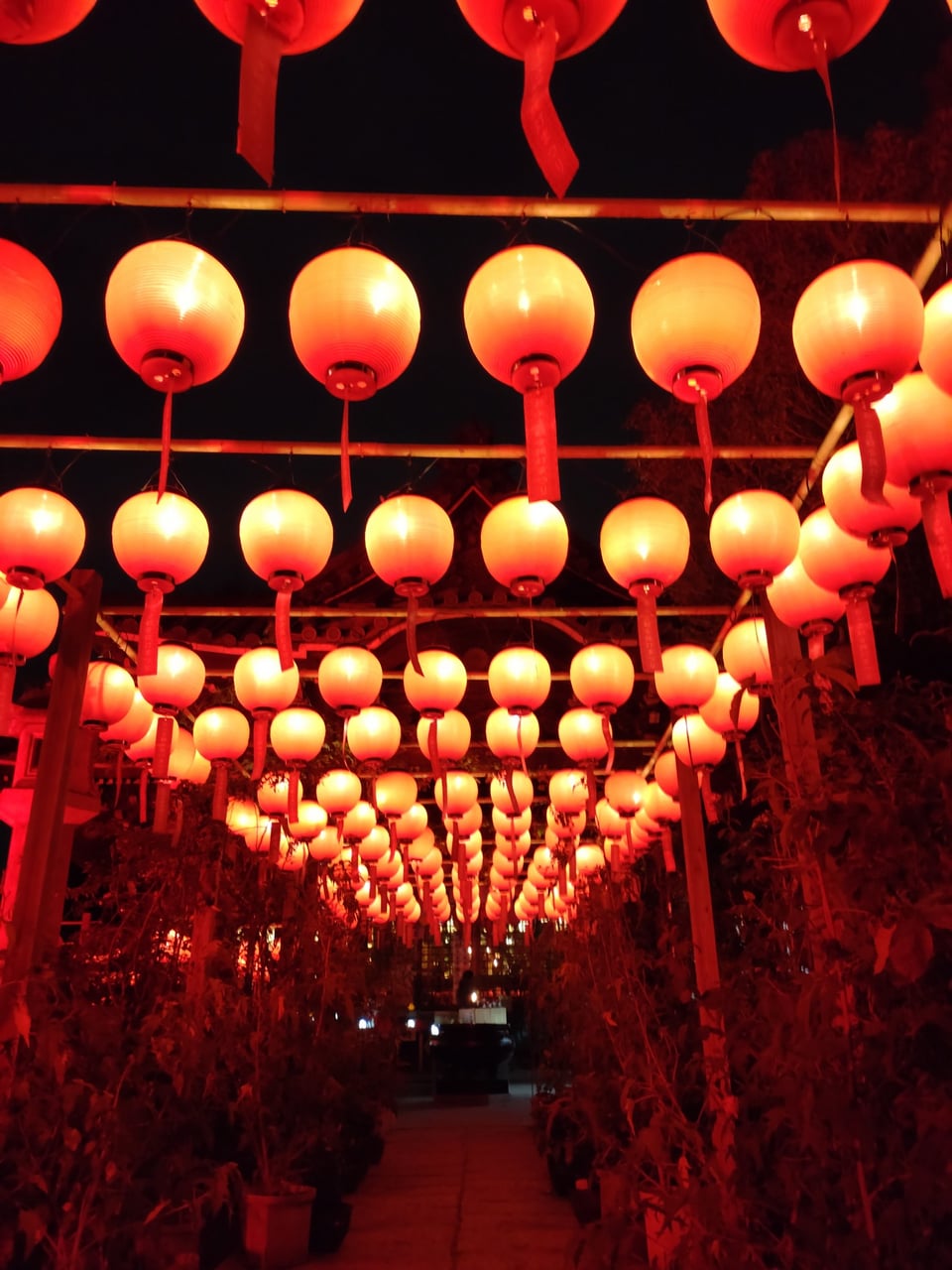 8月13日・14日、おふさ観音風鈴まつり・夜間拝観が開催されます！＆台風7号について -公式ブログ 奈良・大和八木「ゲストハウスはじまり」