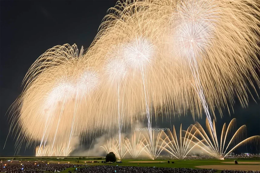 日本三大花火大会」とは？HALMEK up ハルメクアップ