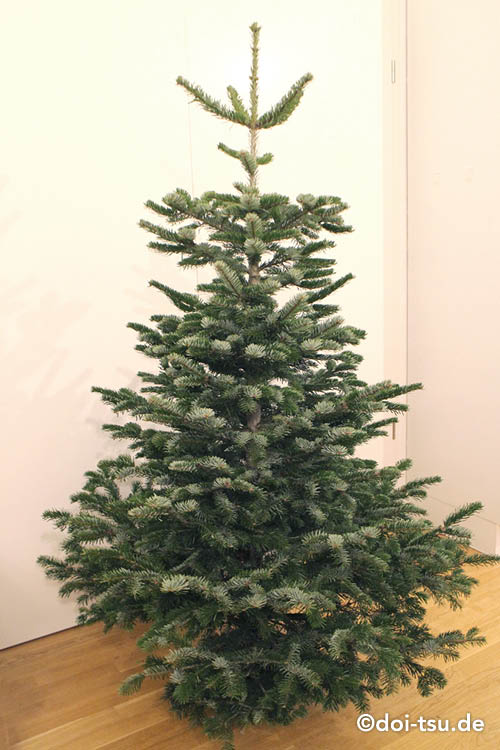 ツリーの回収: めぎのドイツ再発見