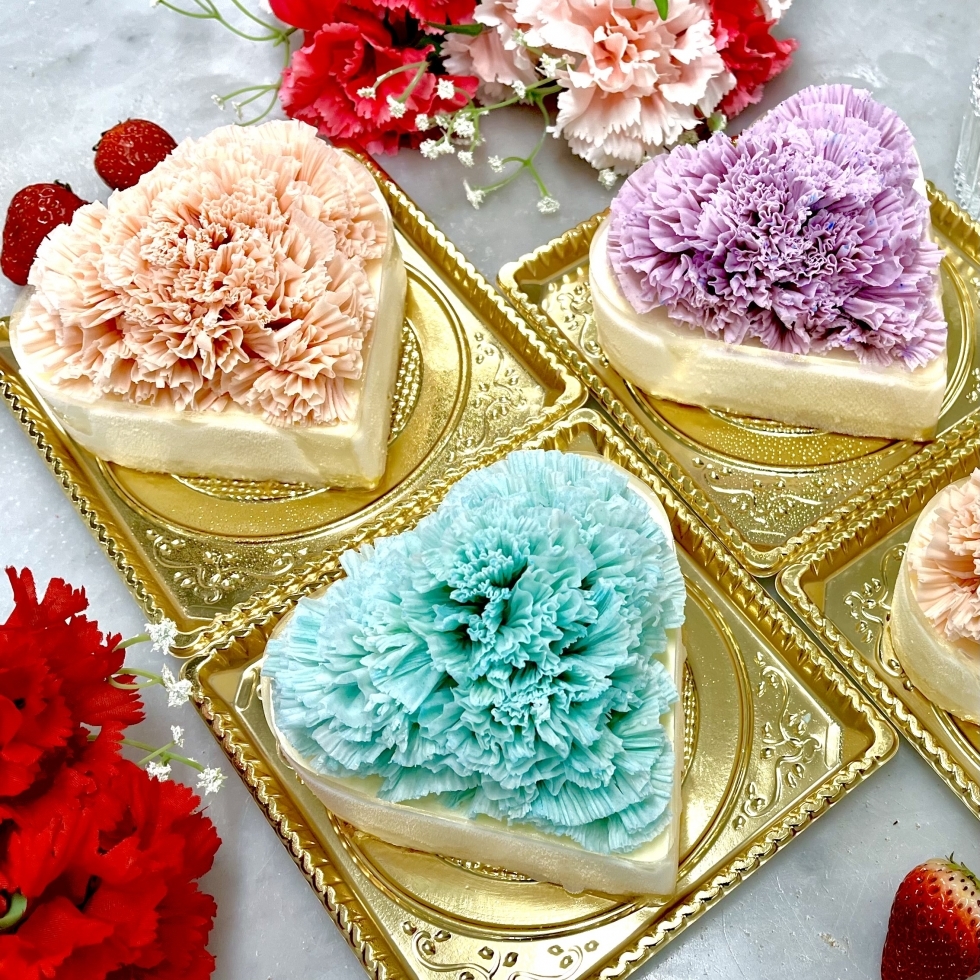 母の日に カーネーションケーキ