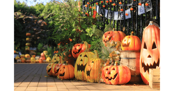 町田市 フォトスポットが満載！ グランベリーパークにハロウィンの飾りが登場♪号外NET 町田市