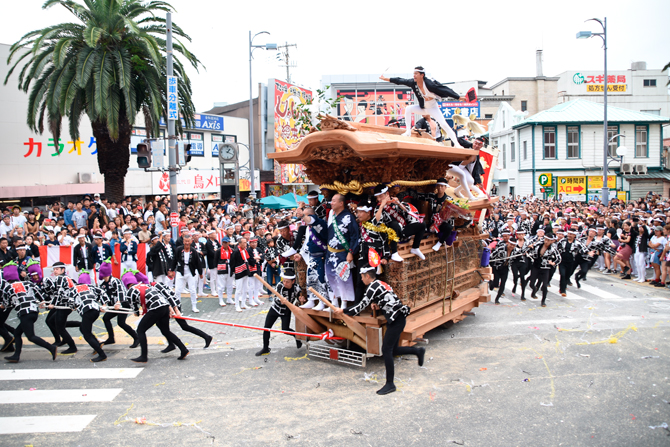 藤浪秀明 Hideaki Fujinami河内長野市のだんじり祭り だんじり は岸和田市が有名ですが南大阪を中心に広範囲で開催されています。地域が変われば特徴も変化するのですが河内長野市ではだんじりの前を下げて回転させる「ぶん回し」が見どころの一つ。試験曳きの夜に