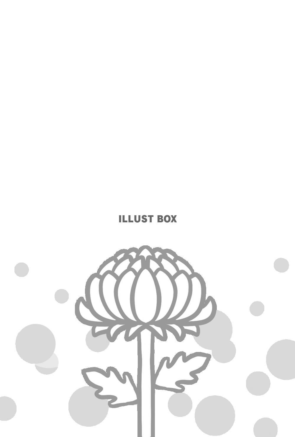 喪中はがきサンプル 若菊