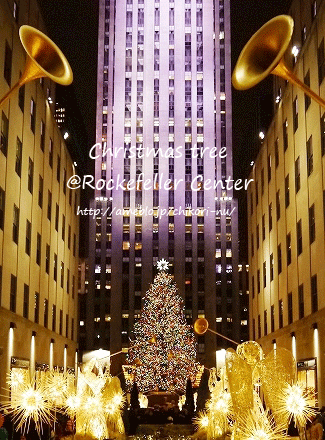 冬のニューヨークを楽しむ！おすすめ スケートリンク