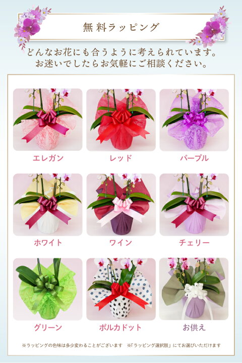 会長と社長が同時に交代・就任した時の胡蝶蘭の贈り方祝花の花助 贈答用の花の選び方やマナーをご紹介