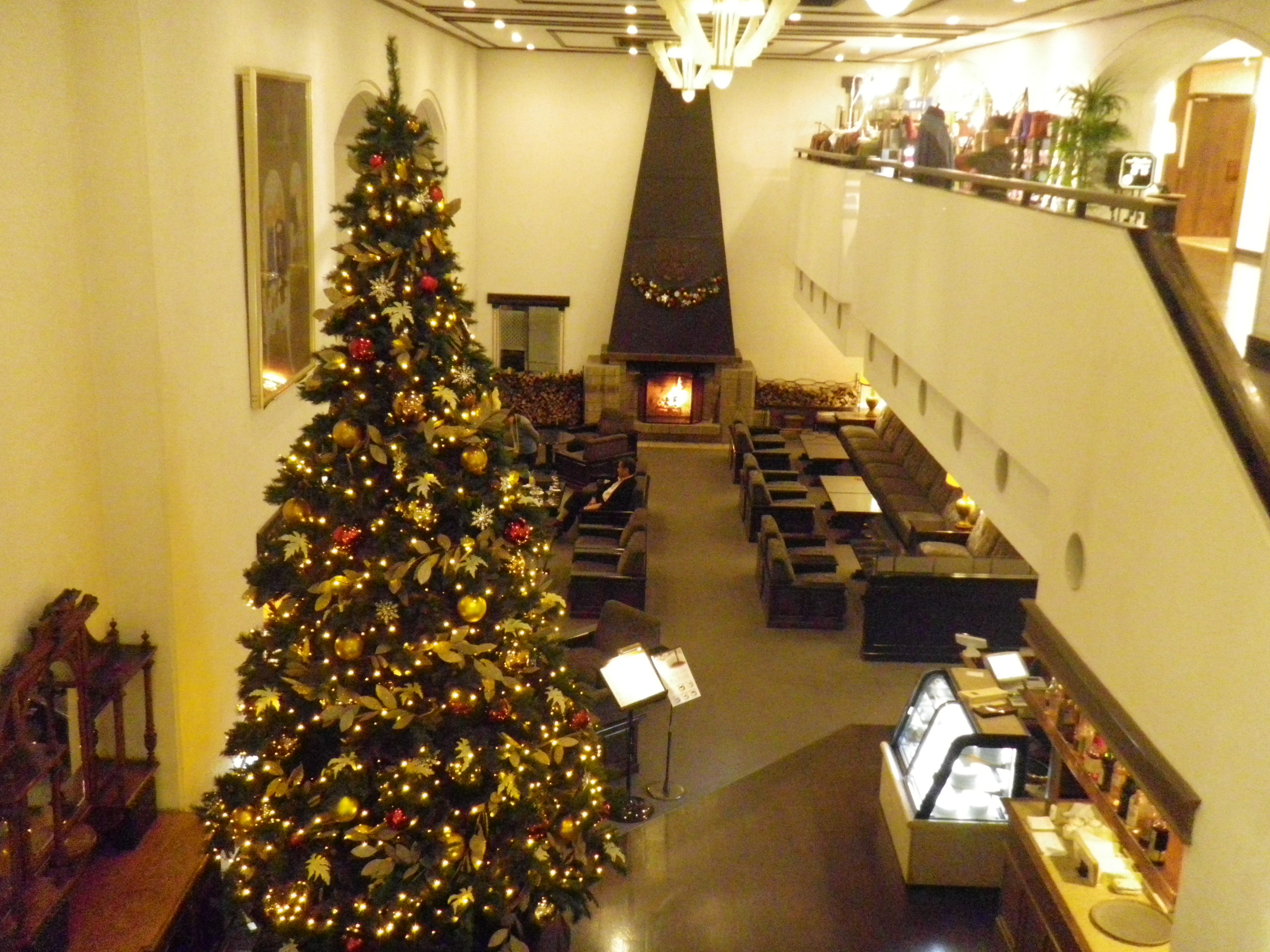 冬の箱根でしか見られない豪華クリスマスツリー3選 - 女子旅プレス