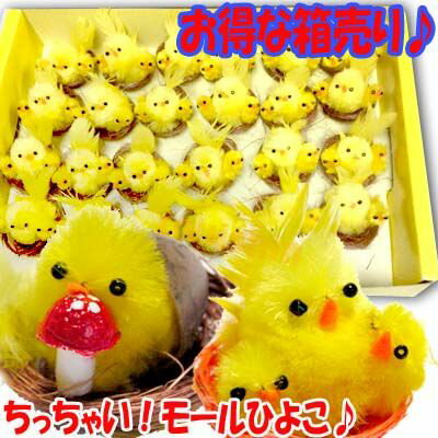 楽天市場 ひよこ すくいの通販