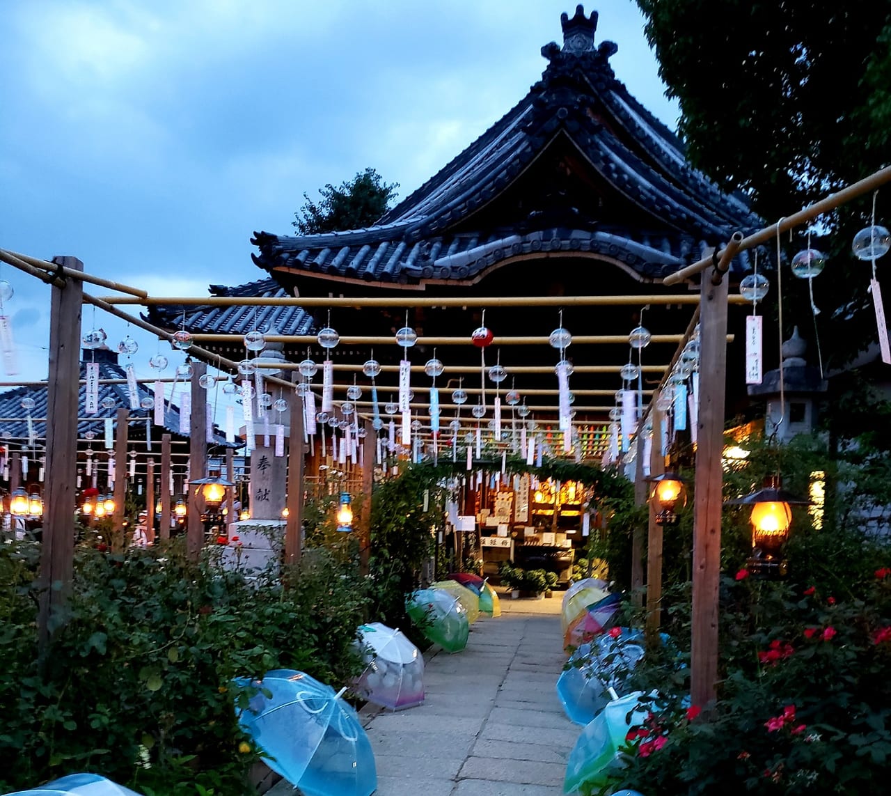 おふさ観音バラや紫陽花風鈴や提灯の見どころ 魅力いっぱい奈良魅力いっぱい 奈良