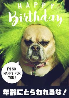 誕生日の名言」のアイデア 10 件誕生日の名言, 笑える誕生日メッセージ, 誕生日 画像 おもしろ