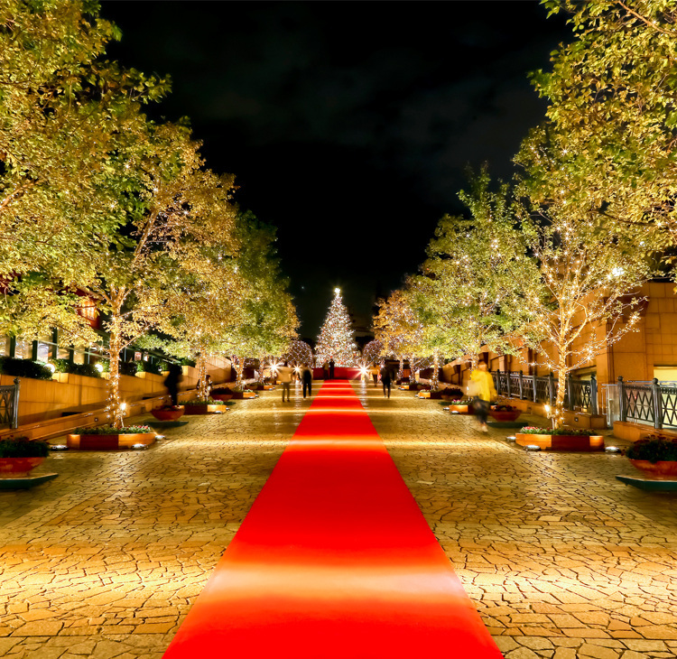 ウェスティンホテル東京 高さ5ｍのクリスマスデコレーションをはじめ全館でホリデーシーズンのお祝いを Westin Christmas 2024“Winter Celebration”を開催マリオット・インターナショナルのプレスリリース