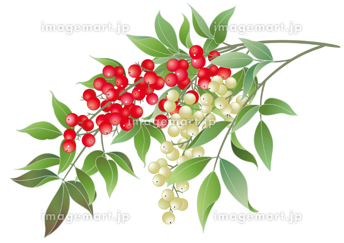 注染手ぬぐい 冬の風物詩 雪花舞う kenama日本製 手染め 手拭い てぬぐい 手ぬぐい 和柄 綿100% 雪だるま 雪の結晶 スノーマンクリスマス Xmas: TL-STARしのびや - 通販 - Yahoo!ショッピング