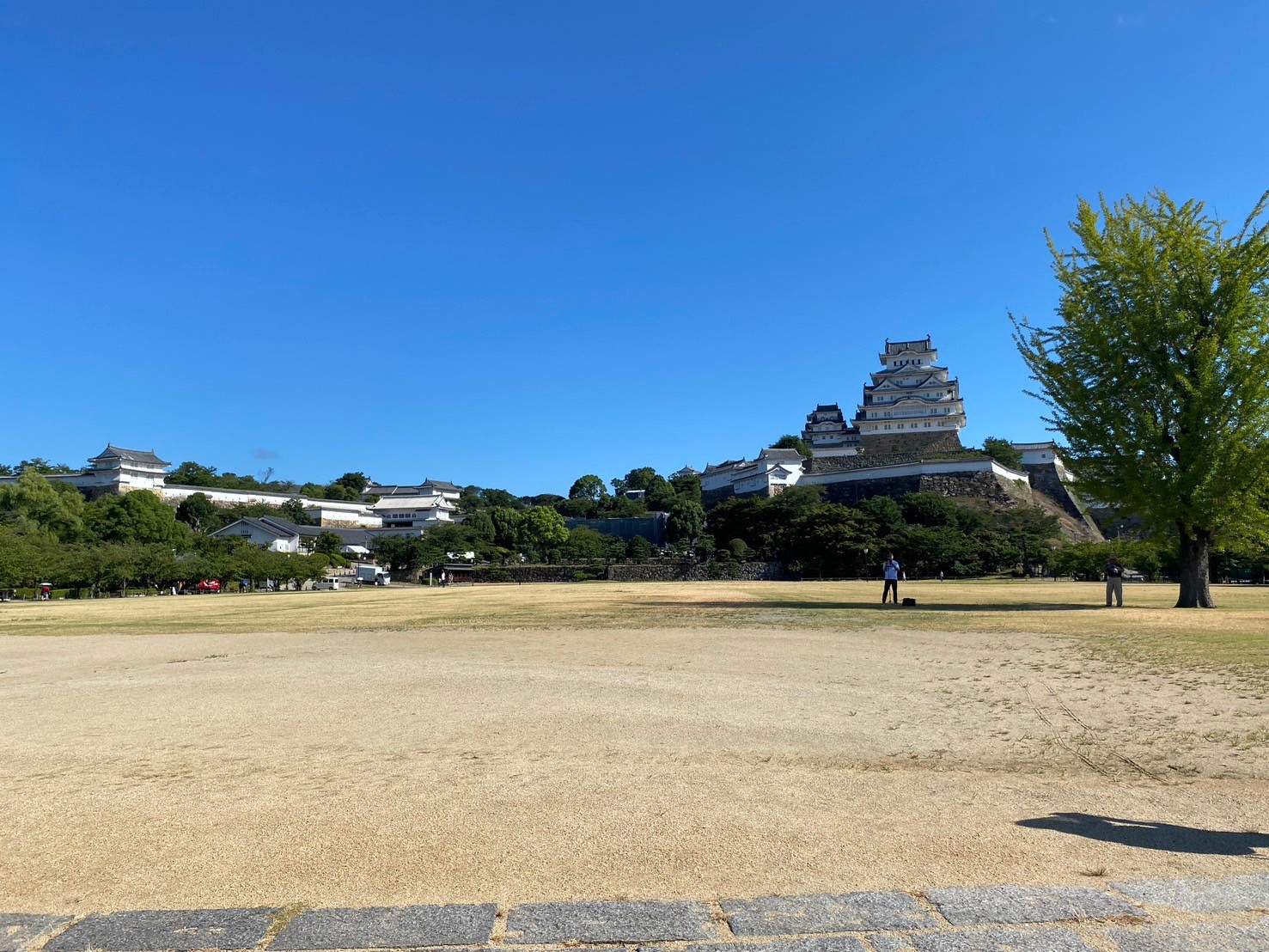 姫路市 ４年ぶりの通常開催！！第38回 姫路城 「観桜会」 は、 令和５年4月8日 土 開催です。号外NET 姫路市