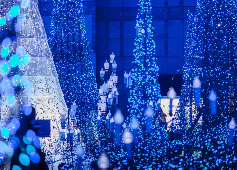 東京駅周辺イルミネーションガイド『CENTRAL TOKYO ILLUMINATIONガイド2023』発刊記念イルミネーションが密集する千代田区が厳選、オススメ5スポット一般社団法人千代田区観光協会のプレスリリース