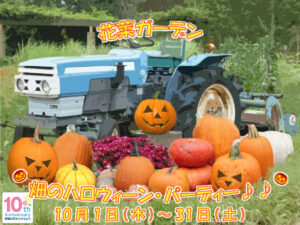 横浜で楽しむハロウィンイベント🎃アクセス情報＆おまけスポット紹介✨