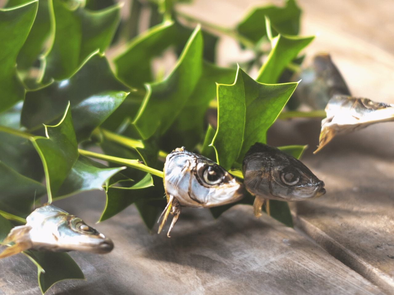 福 の 結び 飾り 双魚 中 横幅38cm中国 旧正月 春節 中華 イベント 縁起物 店内装飾: 中華の扉 - 通販 -Yahoo!ショッピング