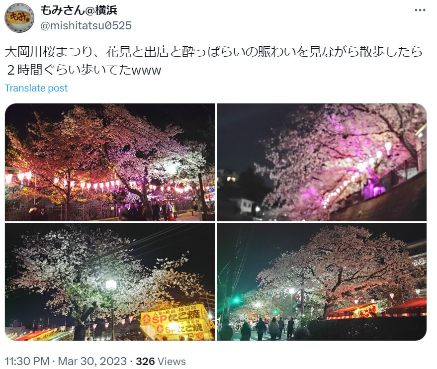 3年ぶりのお花見屋台！大岡川沿いの桜、満開ですmcさちの横浜便り