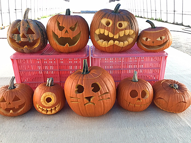 月刊 現代農業2018年11月号 産地で売り上げ5000万円突破 ハロウィンカボチャが大ブレイク