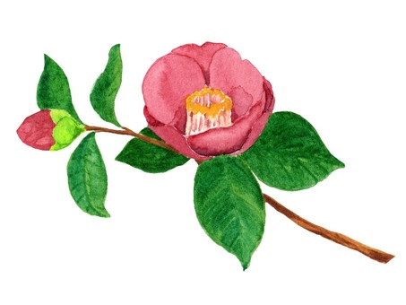 お歳暮のお礼状に使いやすい上品な無料イラストをご紹介 - ポストカード無料デザイン