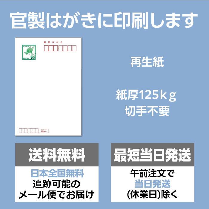 格安17社を比較 喪中はがきのネット注文印刷が安いおすすめ5選マイナビ