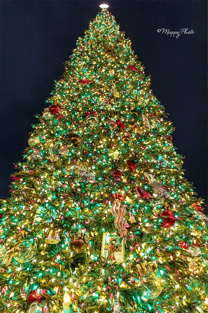 煌めく！海外のゴージャスな「Xmasイルミネーション」３選TABIZINE～人生に旅心を～