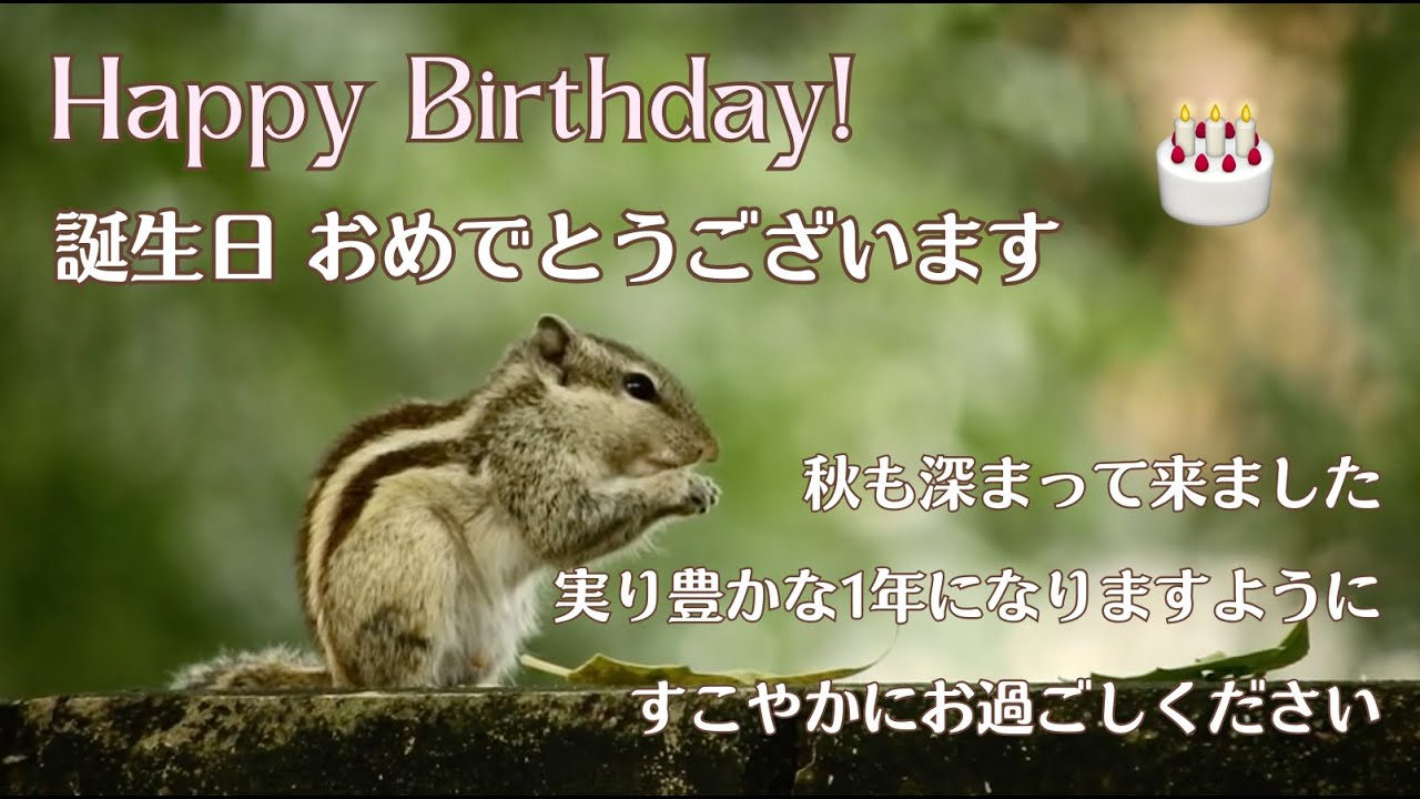 ギフト動画 サプライズ動画 おたんじょうびのカンパネラ 誕生日 プレゼント USBメモリ 贈り物 ギフト 誕生日動画 お祝い動画 おもしろ動画オリジナル動画 -SEBURO - プレゼント＆ギフトのギフトモール