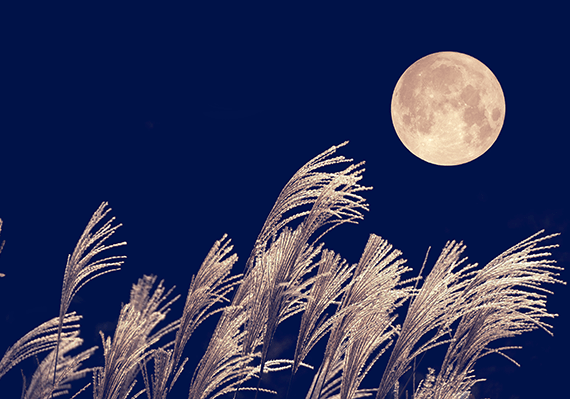 2025年のお月見はいつ？何をする？おすすめの月見レシピや飾り付けを紹介ニフティ不動産