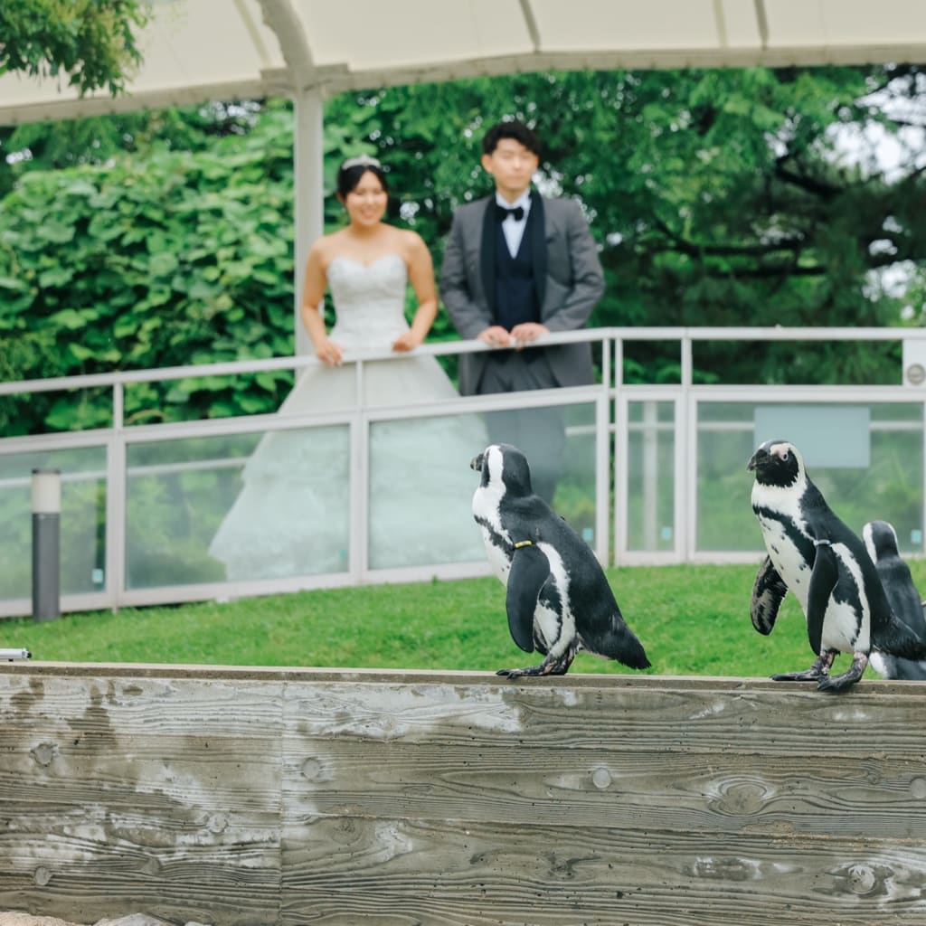 福岡 マリンワールド前撮りプラン - フォトウェディング・前撮り・結婚写真のスタジオフィール