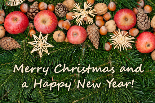 恋人＆夫・妻へ贈る英語のクリスマスカードメッセージ例文60選０からはじめるバイリンガル育児 ときどき マルチリンガル育児