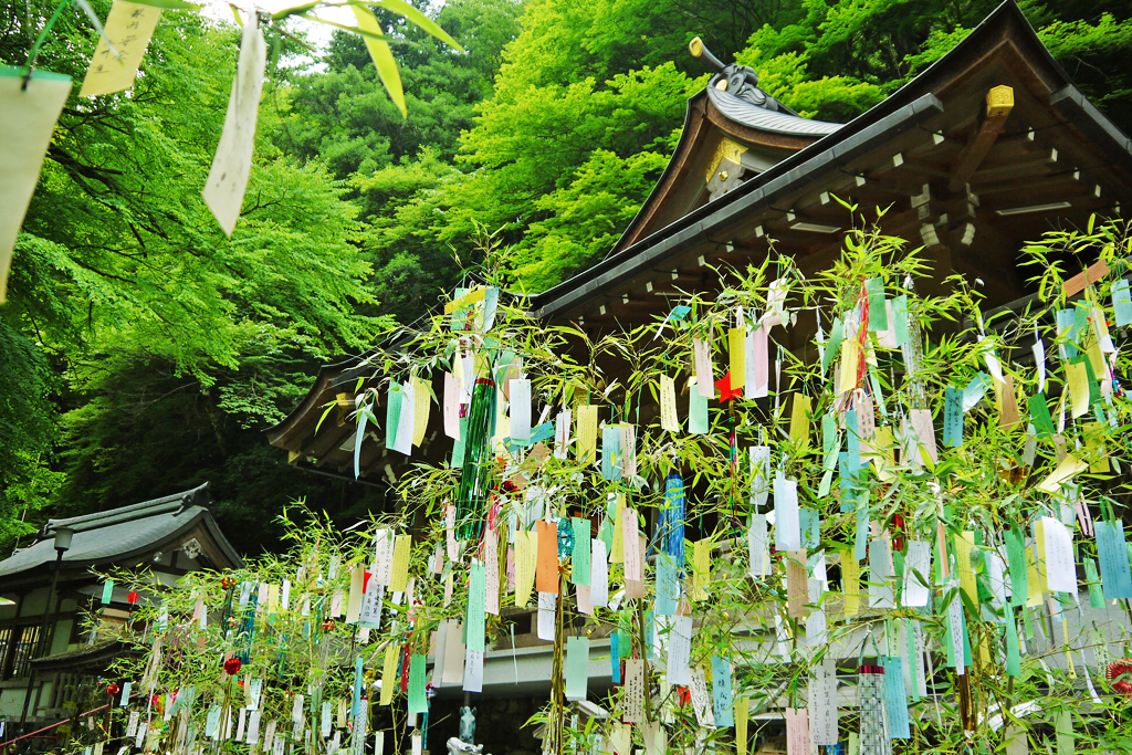 たなばた日本の七夕祭りの漫画の牛飼いと織工の女の子が雲を踏んでイラストイラスト画像とPSDフリー素材透過の無料ダウンロード - Pngtree