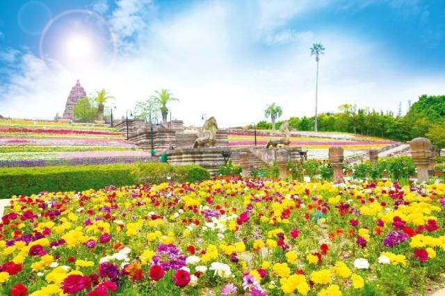 ことなみ土器どき広場イルミネーション 2022.01.08ぽんたの撮影通信＆うどん麺類大好き生活